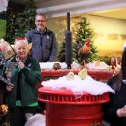 Tong Garden Centre revealed its festive celebrations yesterday