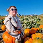 Rae-Obi Williams enjoys the pumpkin patch at Farmer Copleys