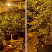 The cannabis farm discovered in Batley