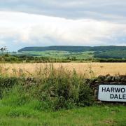 Harwood Dale is a joy to visit over the holidays, offering peace and tranquillity