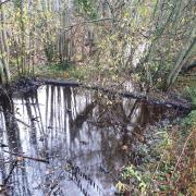 Polluted water in a Keighley goit