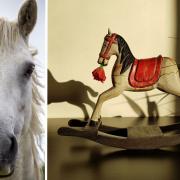 Police suspect horses had their hair tails cut and removed for a rocking horse, in Mirfield