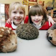 Cononley Primary School pupils Lucy Calvert and Molly Harvey enjoying a hedgehog workshop, 2007