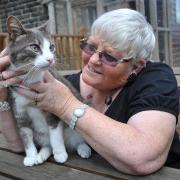 Brenda Satterley, founder of Allerton Cat Rescue
