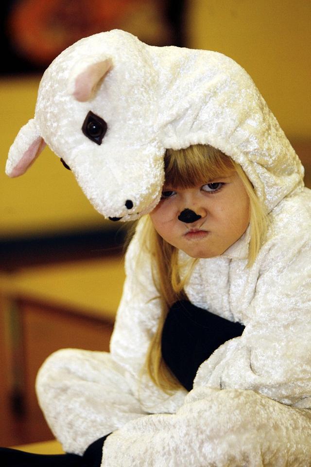 Mia Jacobs, five, took the title role in Eastburn Junior and Infant School’s production of The Grumpy Sheep