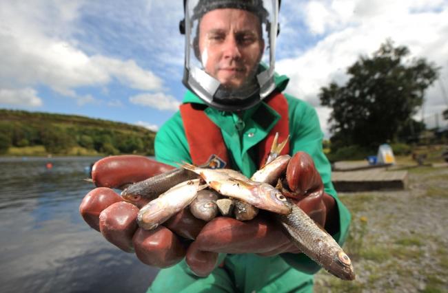 Environment Agency officer Dan Smallwood with some of the dead fish
