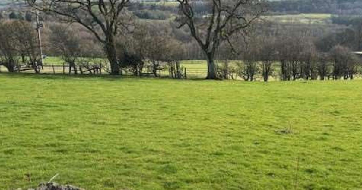 Controversial plans for 230 homes go before planners next week