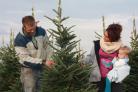 Advice on how to choose the right Christmas tree for your home