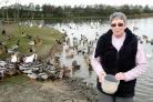 Dorothy Tennant, of the Friends of Keighley (Redcar) Tarn, feeding ducks and other wildfowl at the beauty spot