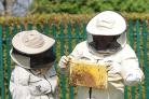 Bradford Beekeepers' Association is one of the groups to benefit from a donation