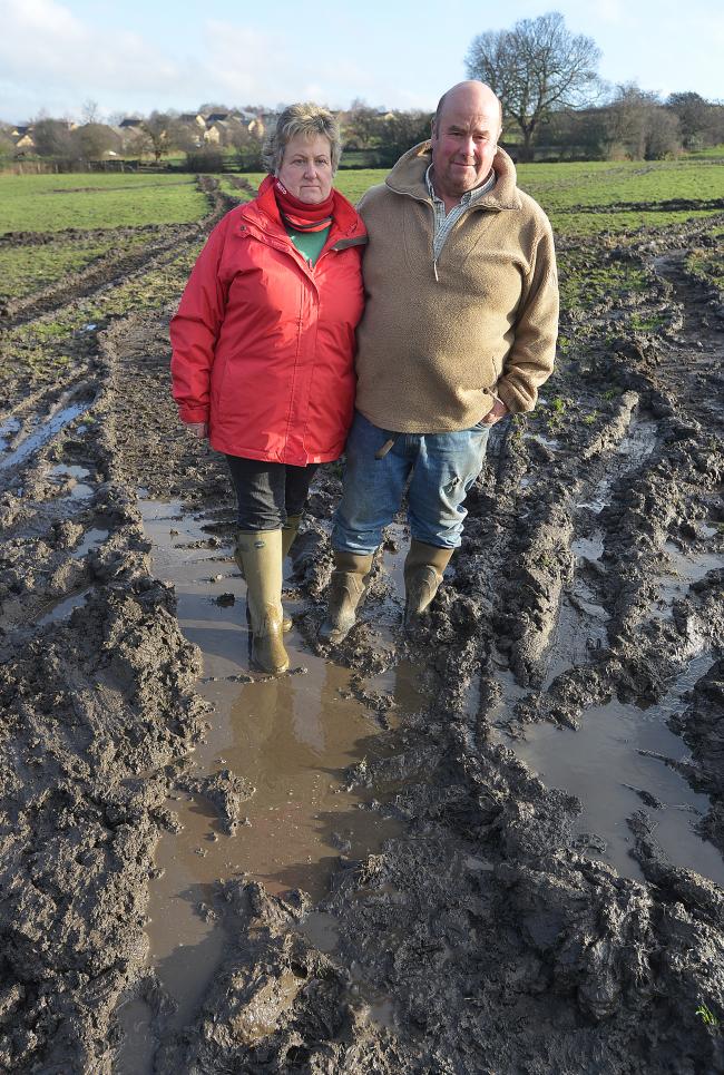 Deborah and Robert Lucas on the grazing field for their horses which has been damaged by large plant