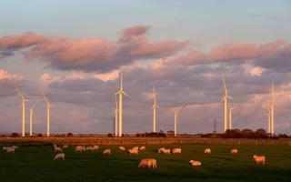 Photo shows a wind farm in the UK. Photo via PA.