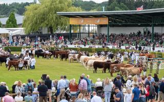 Have you got any plans to attend the Great Yorkshire show in July?
