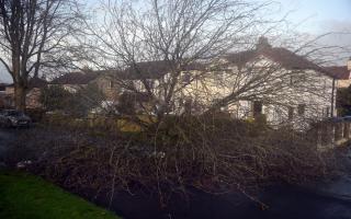 Storm Pia hits Bradford amid yellow weather warning for strong winds