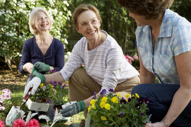 If you&#39;re keen, there is a horticulture course out there for you | Bradford  Telegraph and Argus