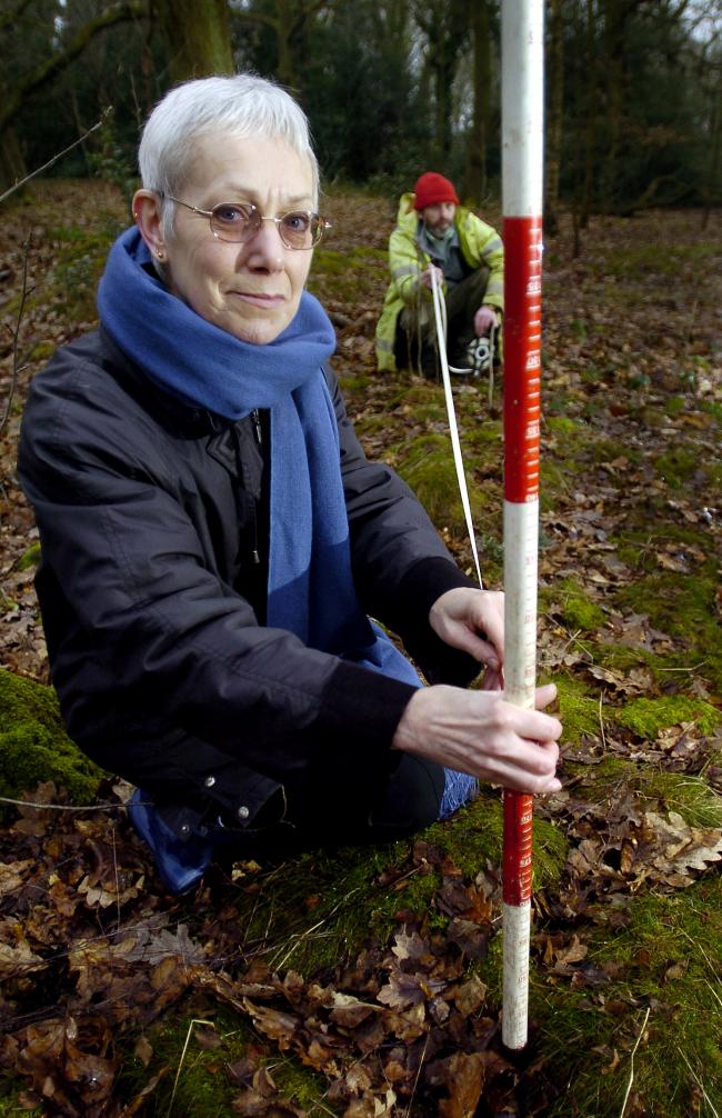 Dr Christine Alvin conducts a survey at the site of a previous archaeological investigation in Buck Woods, Thackley