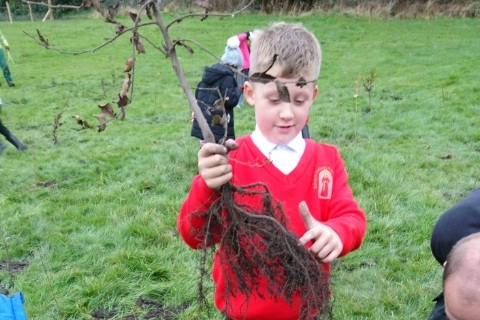 School plants 1,000 trees as part of Forest of Bradford project