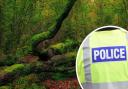 Police arrested a man in woodland in Bradford