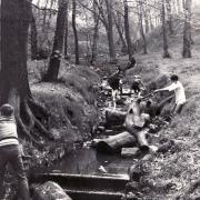 Messing about in Heaton Woods - are you in this picture from 1970?
