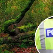 Police arrested a man in woodland in Bradford